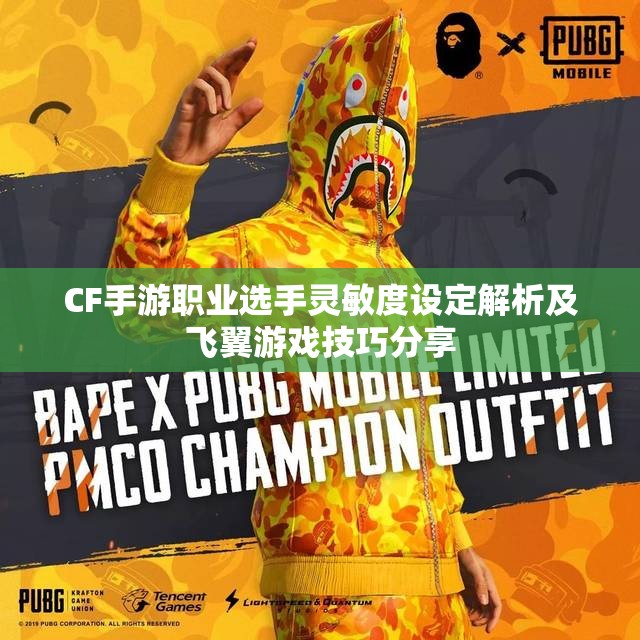CF手游职业选手灵敏度设定解析及飞翼游戏技巧分享