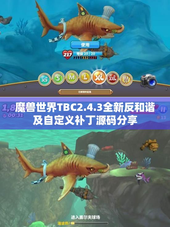 魔兽世界TBC2.4.3全新反和谐及自定义补丁源码分享