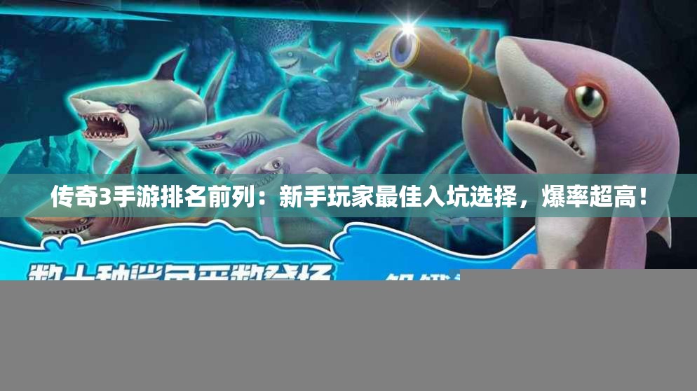 传奇3手游排名前列：新手玩家最佳入坑选择，爆率超高！