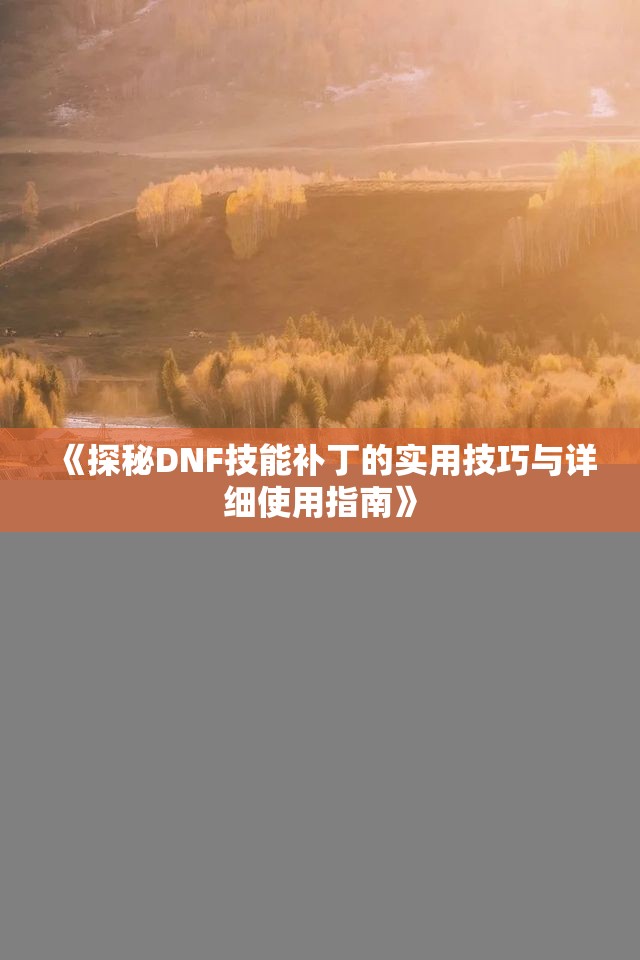 《探秘DNF技能补丁的实用技巧与详细使用指南》