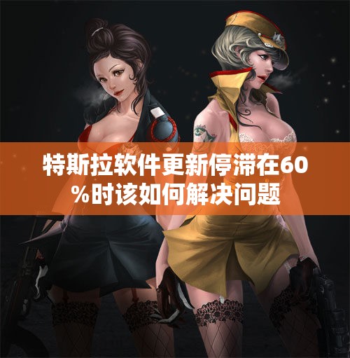 特斯拉软件更新停滞在60%时该如何解决问题