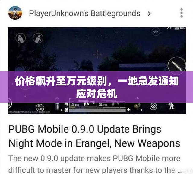 价格飙升至万元级别，一地急发通知应对危机