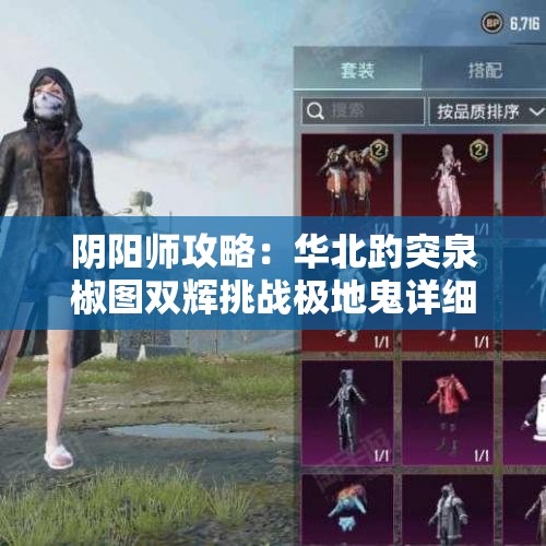 阴阳师攻略：华北趵突泉椒图双辉挑战极地鬼详细流程解析