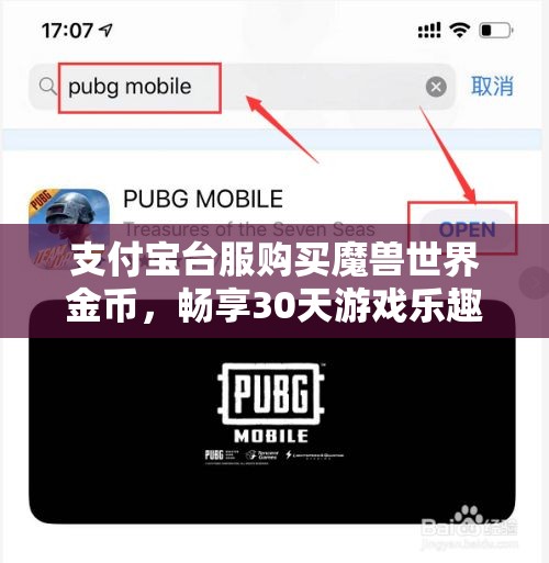 支付宝台服购买魔兽世界金币，畅享30天游戏乐趣