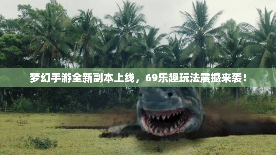 梦幻手游全新副本上线，69乐趣玩法震撼来袭！