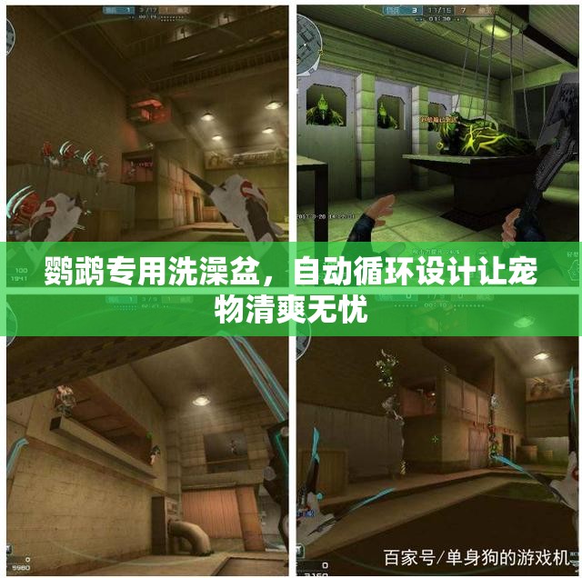 鹦鹉专用洗澡盆，自动循环设计让宠物清爽无忧