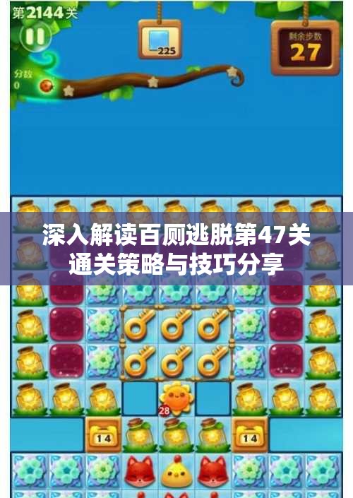 深入解读百厕逃脱第47关通关策略与技巧分享