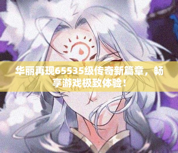 华丽再现65535级传奇新篇章，畅享游戏极致体验！