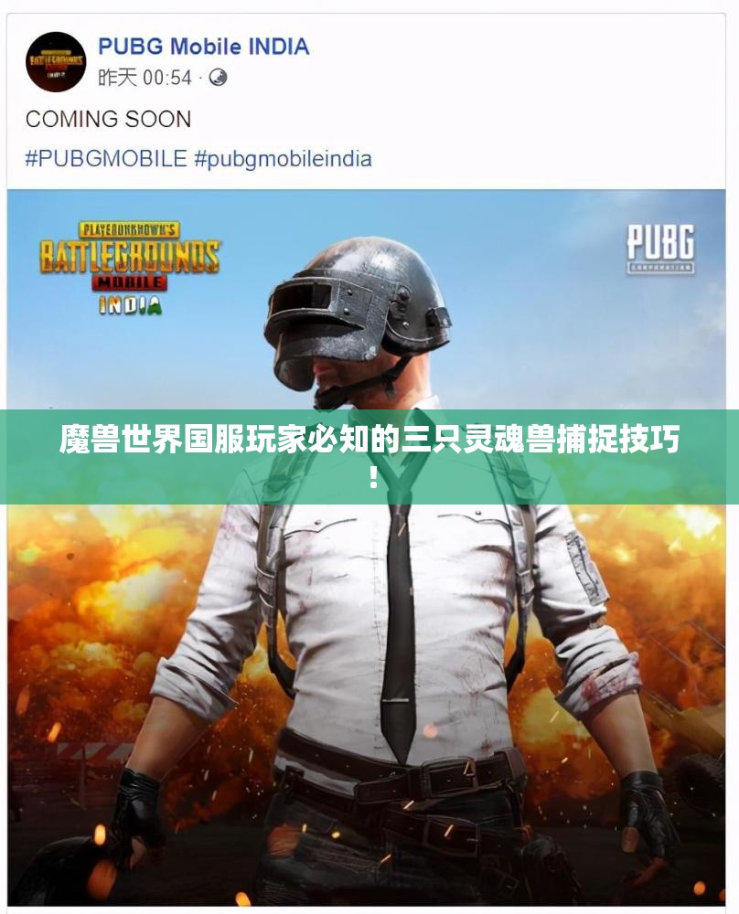 魔兽世界国服玩家必知的三只灵魂兽捕捉技巧！