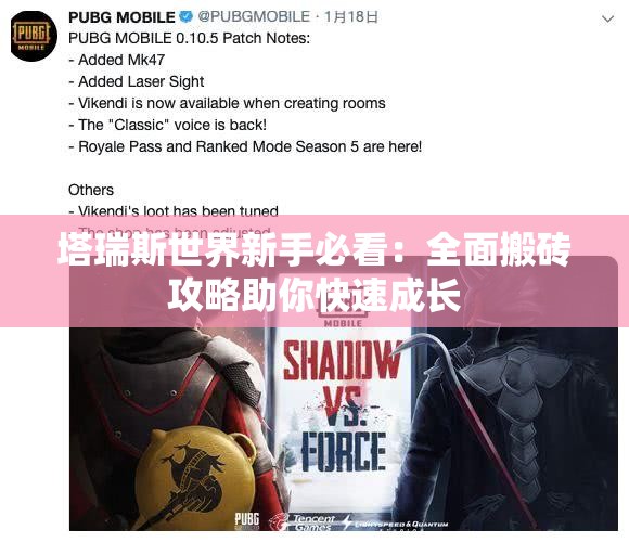 塔瑞斯世界新手必看：全面搬砖攻略助你快速成长