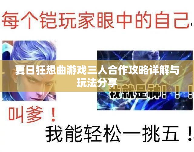 夏日狂想曲游戏三人合作攻略详解与玩法分享