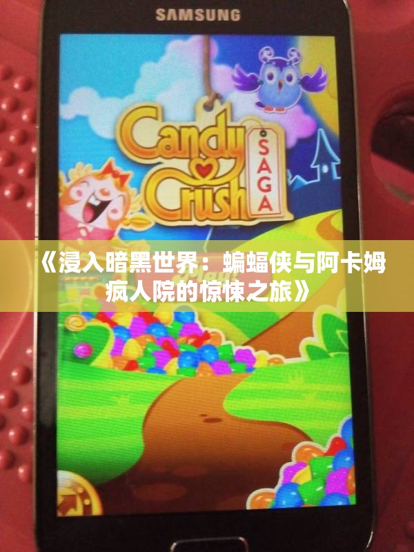 《浸入暗黑世界：蝙蝠侠与阿卡姆疯人院的惊悚之旅》