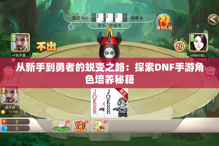从新手到勇者的蜕变之路：探索DNF手游角色培养秘籍