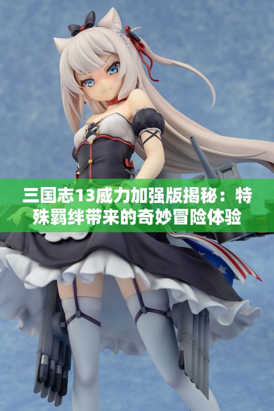 三国志13威力加强版揭秘：特殊羁绊带来的奇妙冒险体验