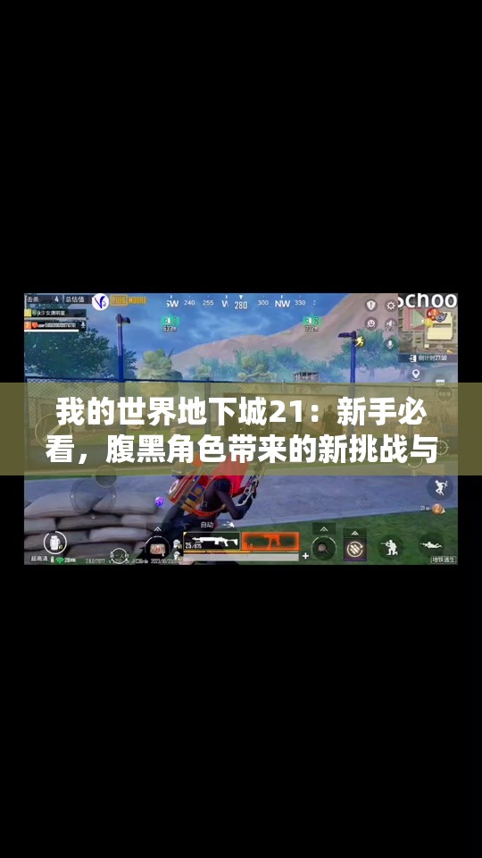 我的世界地下城21：新手必看，腹黑角色带来的新挑战与启示
