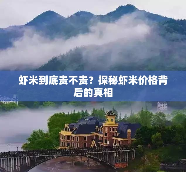 虾米到底贵不贵？探秘虾米价格背后的真相