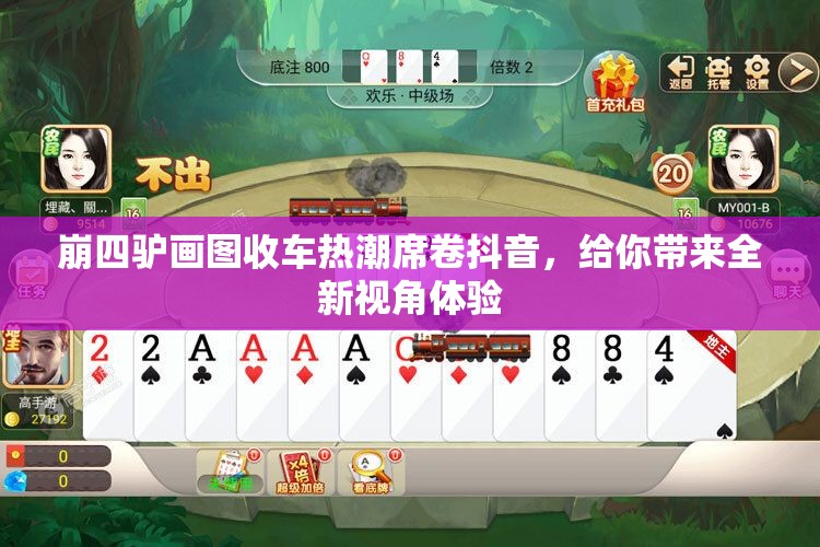 崩四驴画图收车热潮席卷抖音，给你带来全新视角体验