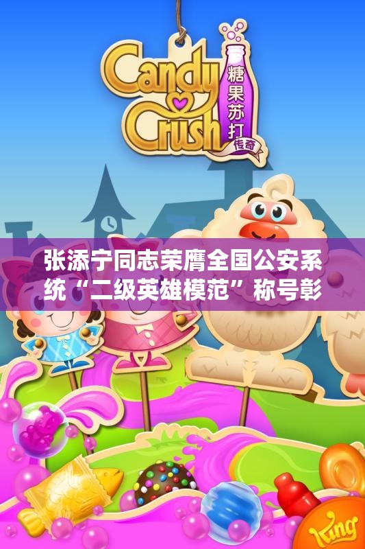 张添宁同志荣膺全国公安系统“二级英雄模范”称号彰显英勇精神