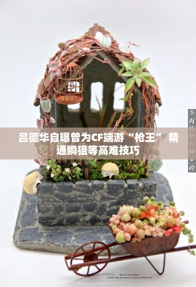 吕德华自曝曾为CF端游“枪王” 精通瞬狙等高难技巧