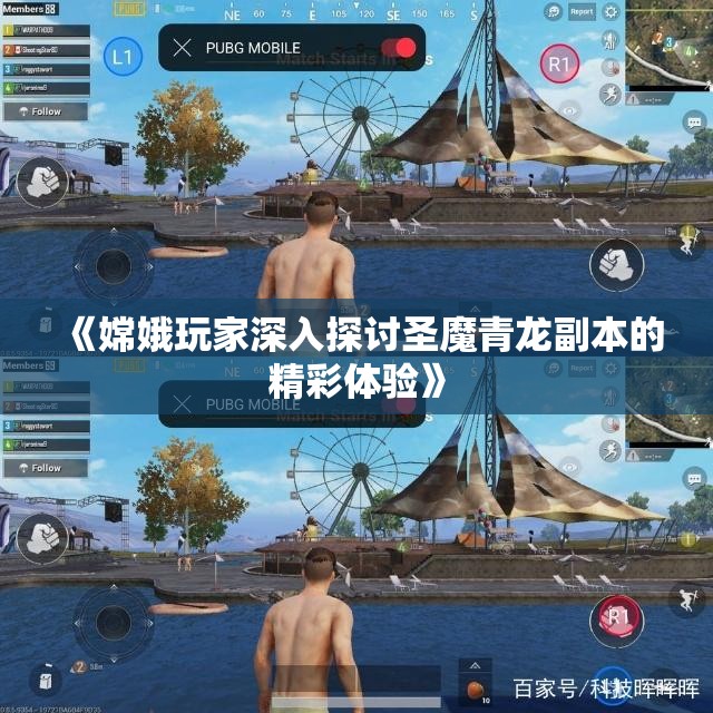 《嫦娥玩家深入探讨圣魔青龙副本的精彩体验》