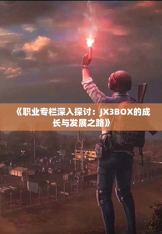 《职业专栏深入探讨：JX3BOX的成长与发展之路》