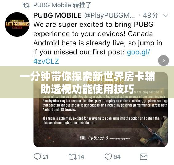 一分钟带你探索新世界房卡辅助透视功能使用技巧