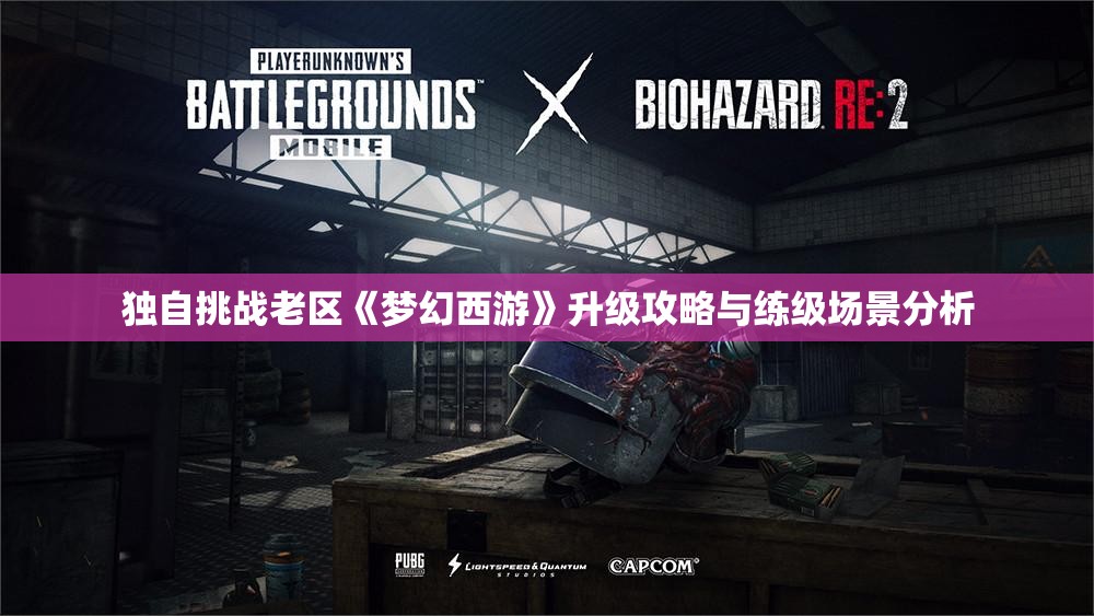 独自挑战老区《梦幻西游》升级攻略与练级场景分析