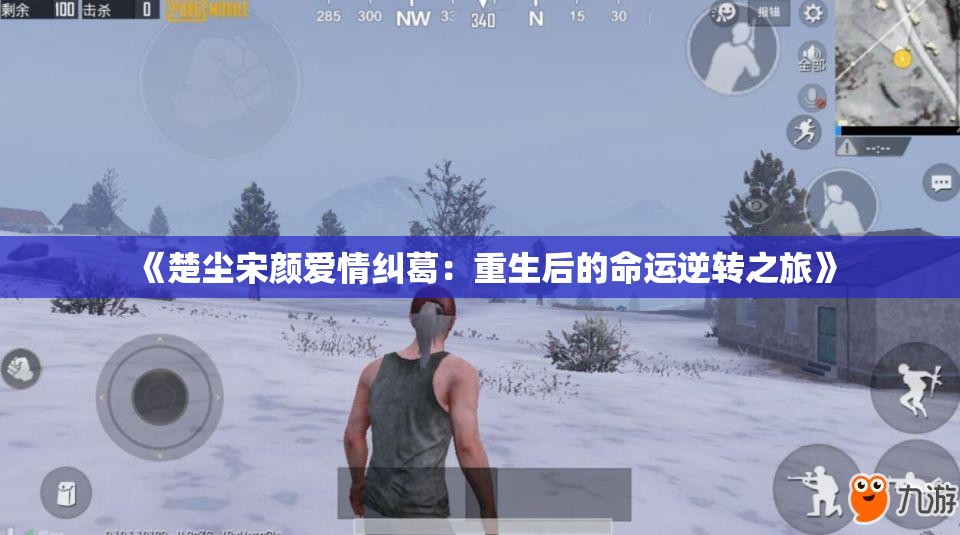 《楚尘宋颜爱情纠葛：重生后的命运逆转之旅》