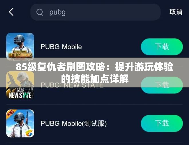 85级复仇者刷图攻略：提升游玩体验的技能加点详解