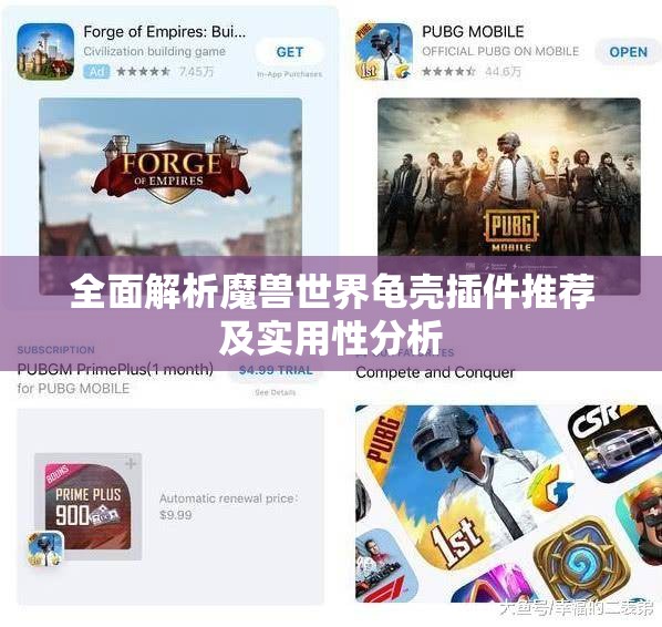 全面解析魔兽世界龟壳插件推荐及实用性分析