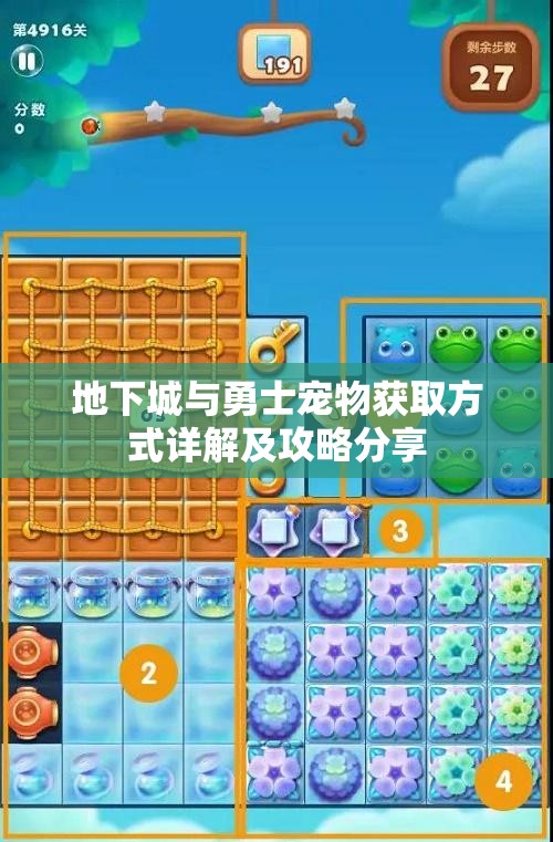 地下城与勇士宠物获取方式详解及攻略分享
