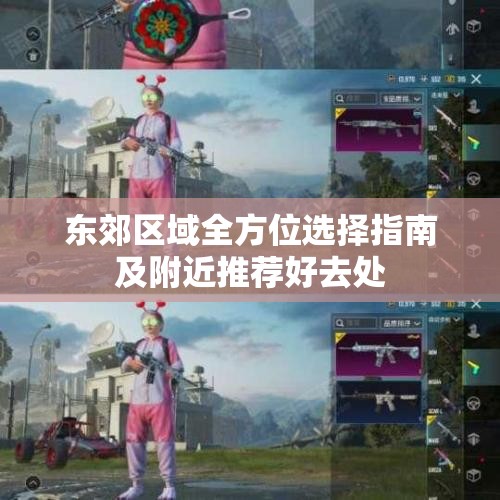 东郊区域全方位选择指南及附近推荐好去处