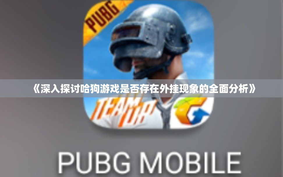 《深入探讨哈狗游戏是否存在外挂现象的全面分析》