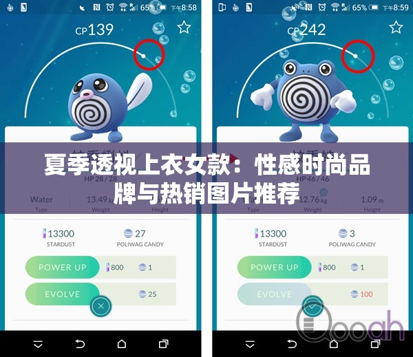 夏季透视上衣女款：性感时尚品牌与热销图片推荐