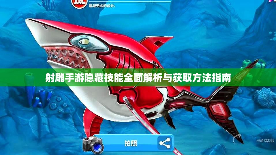 射雕手游隐藏技能全面解析与获取方法指南