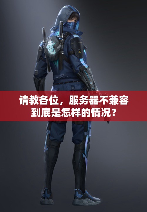 请教各位，服务器不兼容到底是怎样的情况？