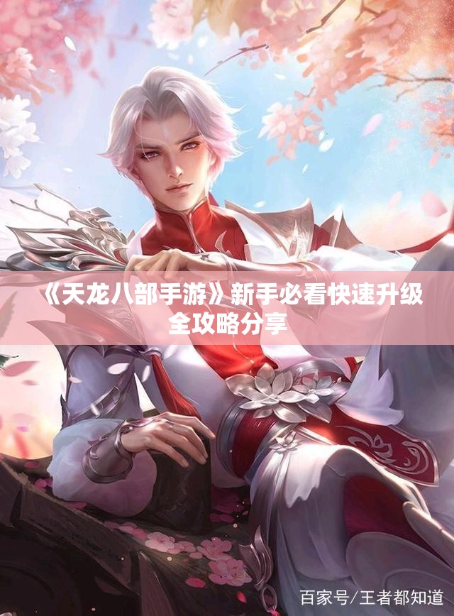 《天龙八部手游》新手必看快速升级全攻略分享