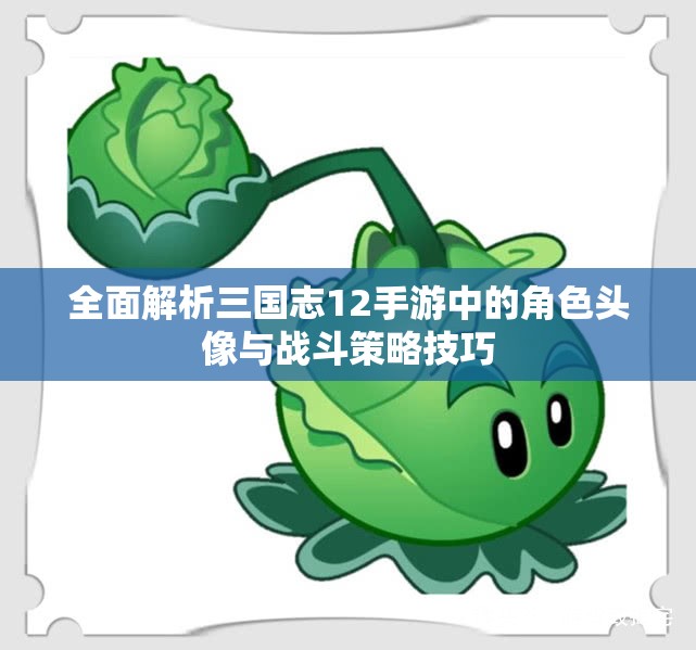 全面解析三国志12手游中的角色头像与战斗策略技巧