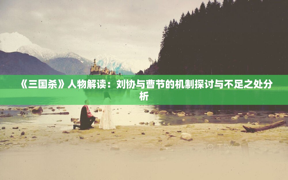 《三国杀》人物解读：刘协与曹节的机制探讨与不足之处分析