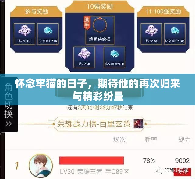 怀念牢猫的日子，期待他的再次归来与精彩纷呈