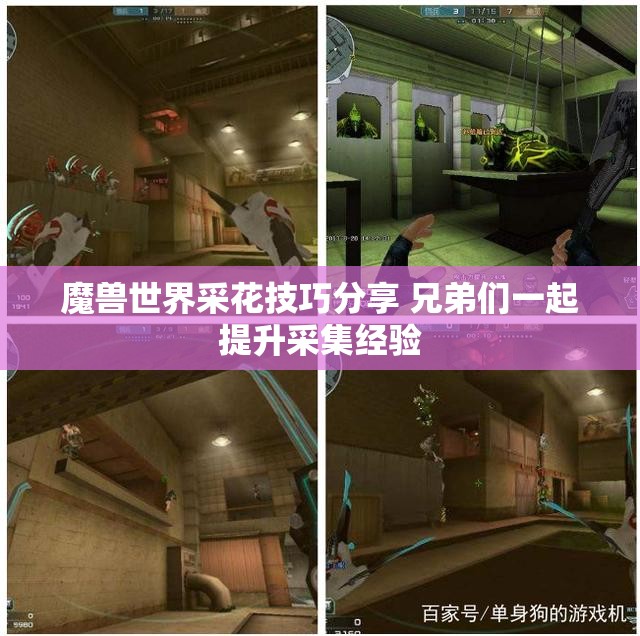 魔兽世界采花技巧分享 兄弟们一起提升采集经验