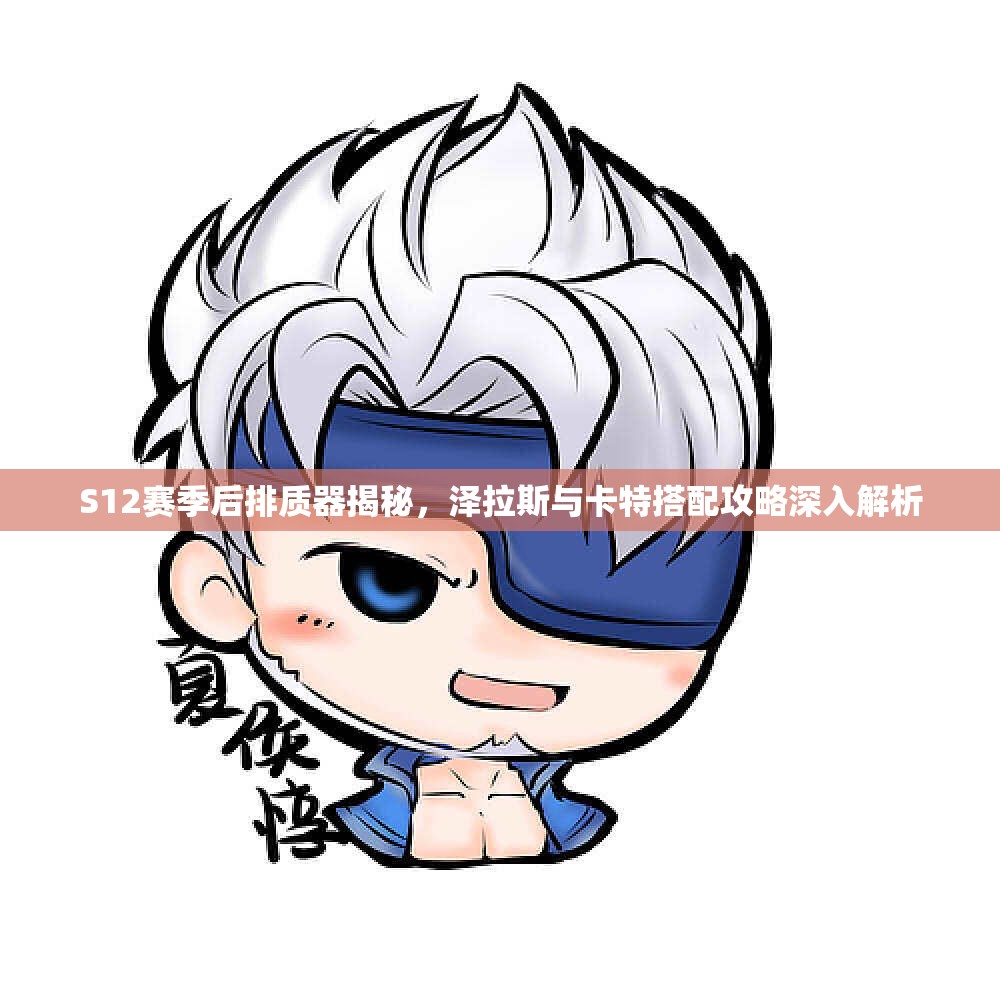 S12赛季后排质器揭秘，泽拉斯与卡特搭配攻略深入解析