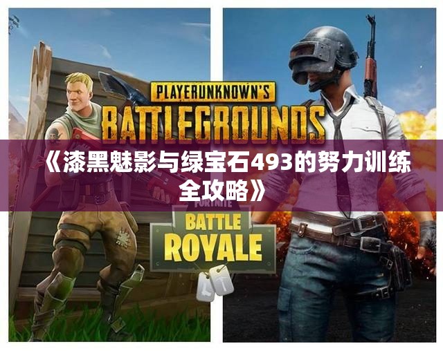 《漆黑魅影与绿宝石493的努力训练全攻略》