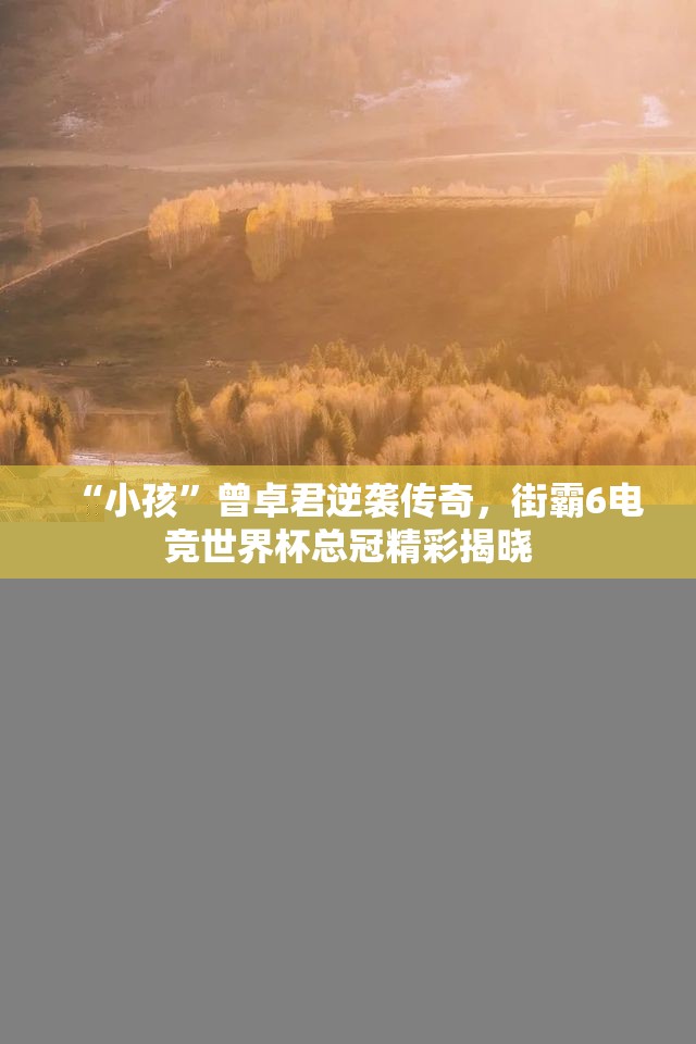 “小孩”曾卓君逆袭传奇，街霸6电竞世界杯总冠精彩揭晓