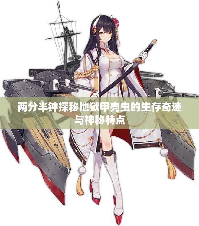 两分半钟探秘地狱甲壳虫的生存奇迹与神秘特点