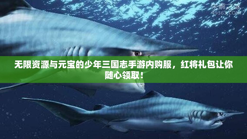 无限资源与元宝的少年三国志手游内购服，红将礼包让你随心领取！
