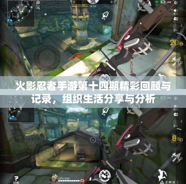 火影忍者手游第十四期精彩回顾与记录，组织生活分享与分析