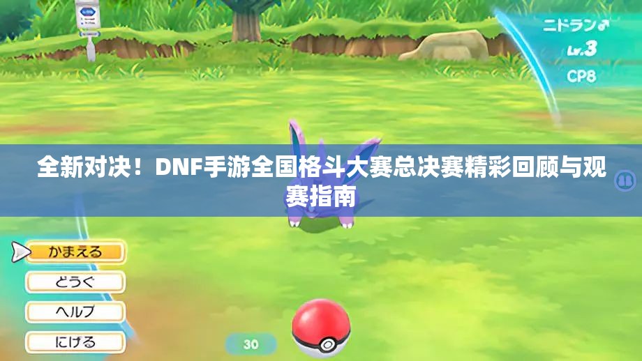 全新对决！DNF手游全国格斗大赛总决赛精彩回顾与观赛指南
