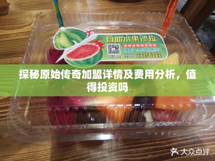 探秘原始传奇加盟详情及费用分析，值得投资吗
