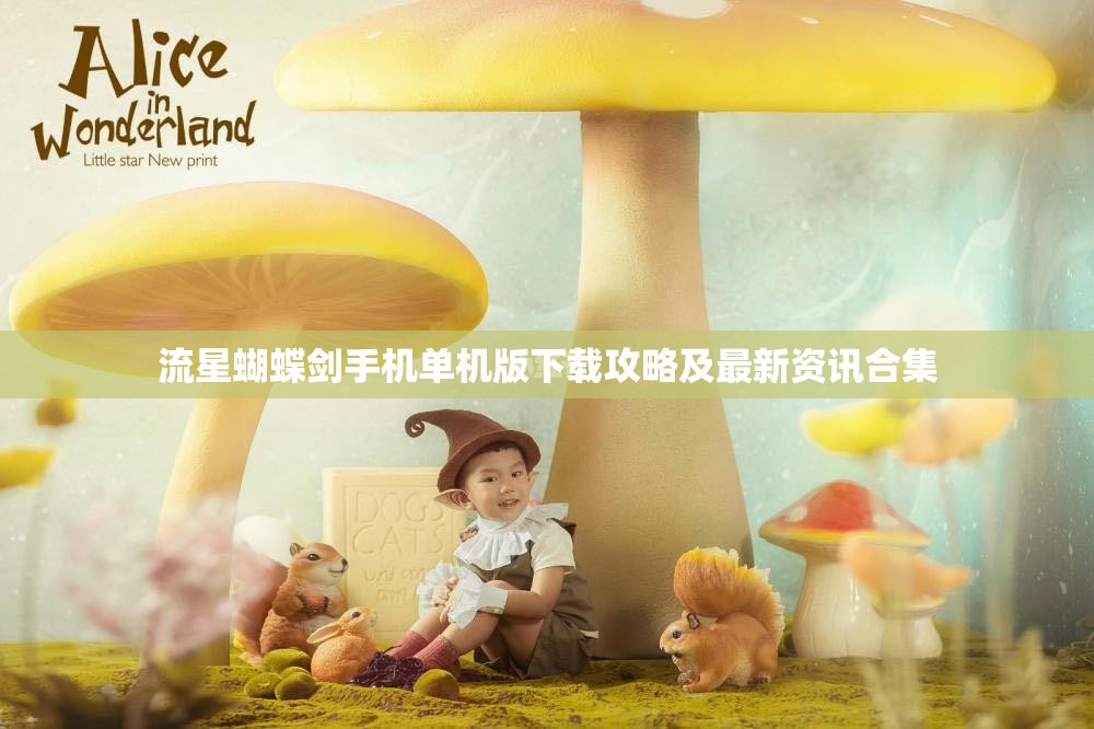 流星蝴蝶剑手机单机版下载攻略及最新资讯合集
